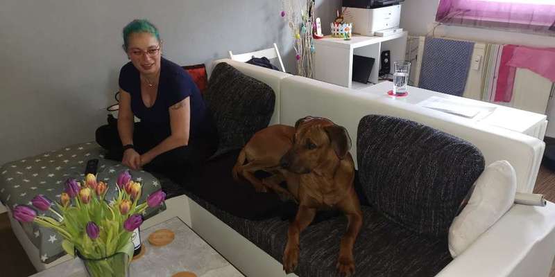 Rhodesian Ridgeback-Beitrag-Bild