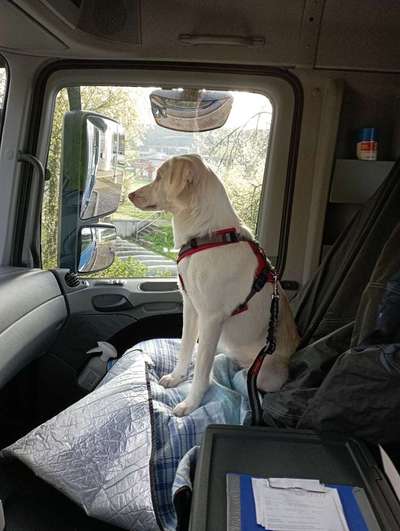 Zeigt her...-Beitrag-Bild