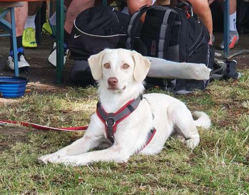 Doppelgänger gesucht !-Beitrag-Bild