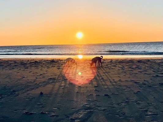 Fotowettbewerb Natur-Beitrag-Bild