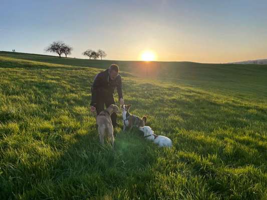 Fotowettbewerb Natur-Beitrag-Bild