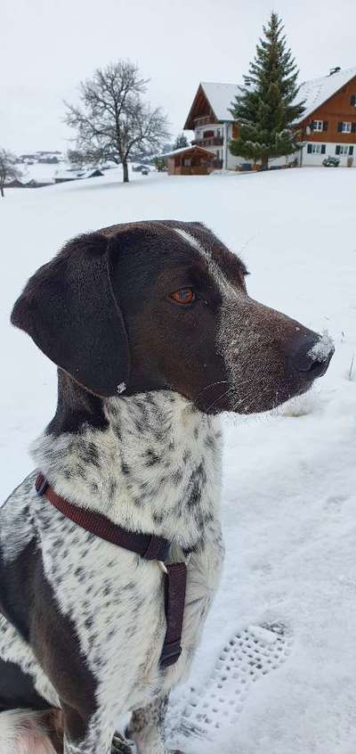 Lieblingsbild-Beitrag-Bild