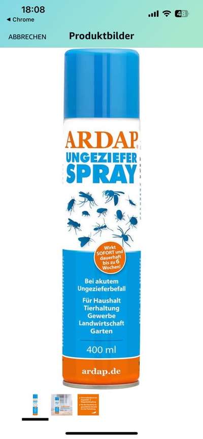 Was ist das??? Flöhe?-Beitrag-Bild