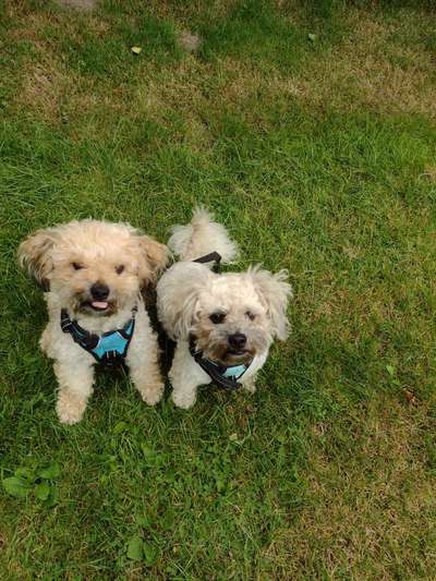 Doppelgänger gesucht !-Beitrag-Bild