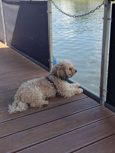 141. FOTO CHALLENGE 
Reisende soll man nicht aufhalten-Beitrag-Bild