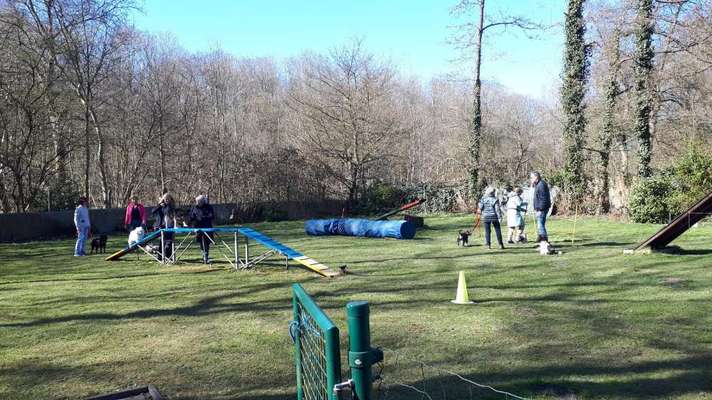 Hundetreffen-Suchen Mitglieder!-Bild