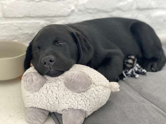 Foto Challenge Nr. 134-Beitrag-Bild