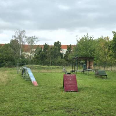 Hundetreffen-Hundespielplatz Erfurt-Bild