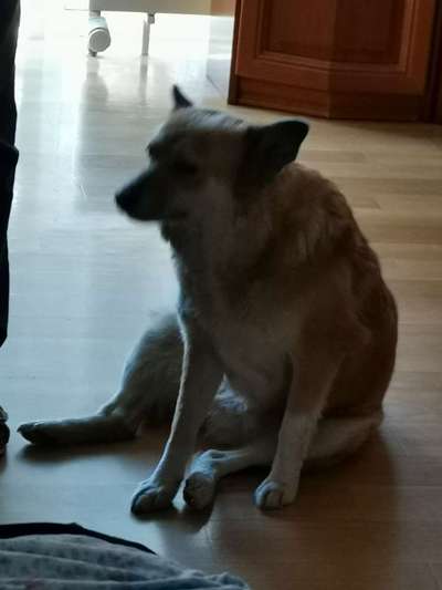 Un...scharf Bilder-Beitrag-Bild