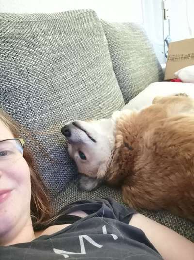 Euer schönstes Bild mit eurem Hund gemeinsam!-Beitrag-Bild