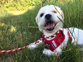 Immer lächeln !-Beitrag-Bild