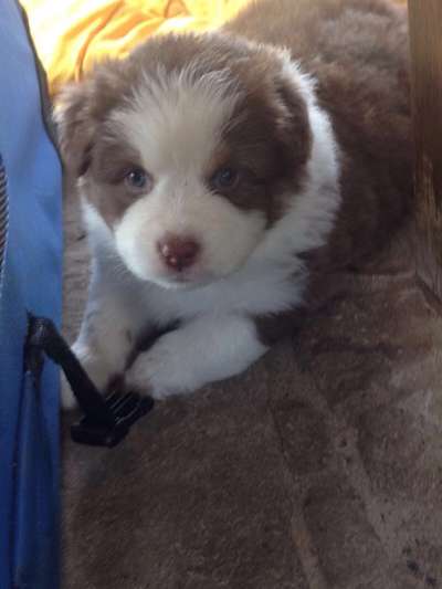 Sie werden so schnell erwachsen ...-Beitrag-Bild