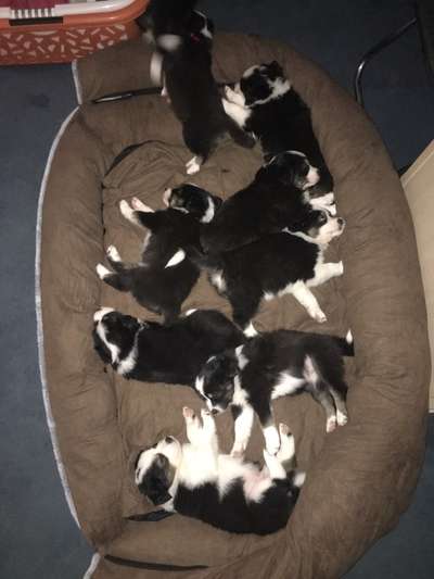 Sie werden so schnell erwachsen ...-Beitrag-Bild