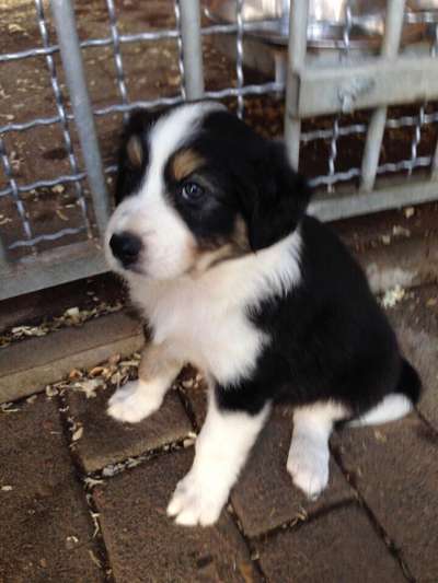 Sie werden so schnell erwachsen ...-Beitrag-Bild