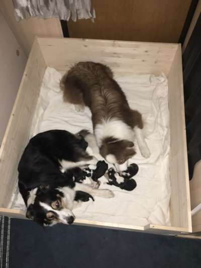 Sie werden so schnell erwachsen ...-Beitrag-Bild