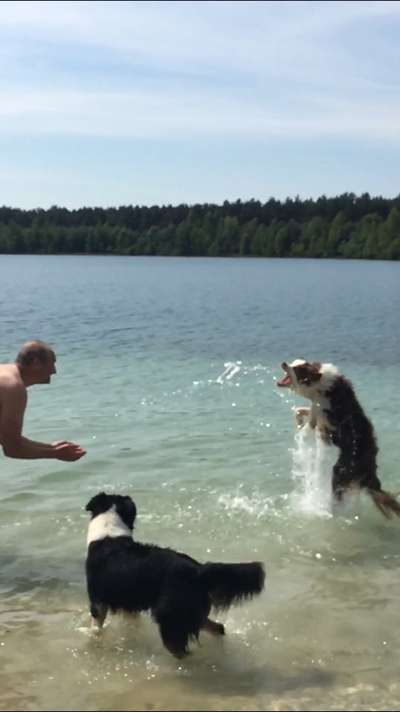 Dogorama-Monats-Challenge-Mai "Wasser"-Beitrag-Bild