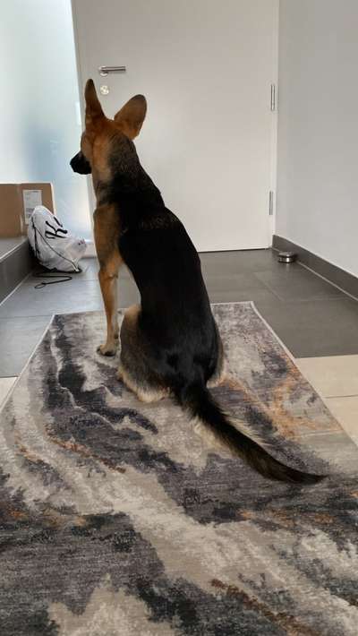 Der Gewichts-Thread-Beitrag-Bild