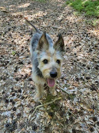 Handyfoto challenge Nr. 13: Waschlappen raus!-Beitrag-Bild