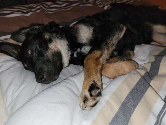 8. Collagen Challenge - Feste/Feierlichkeiten-Beitrag-Bild