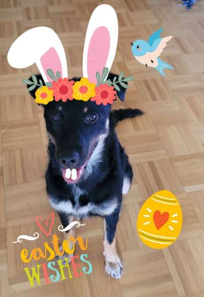 8. Collagen Challenge - Feste/Feierlichkeiten-Beitrag-Bild