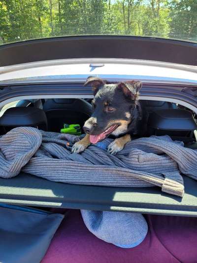 Fotochallenge 101:
On Tour-Beitrag-Bild