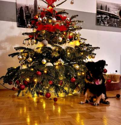 8. Collagen Challenge - Feste/Feierlichkeiten-Beitrag-Bild