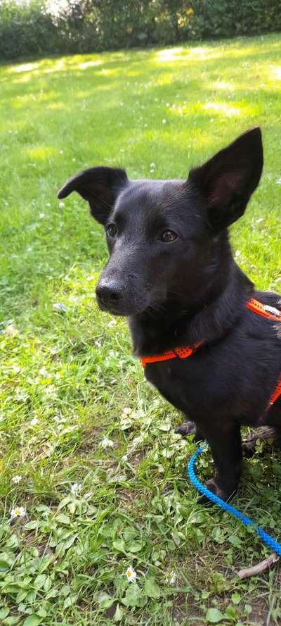 Fotowettbewerb-Beitrag-Bild