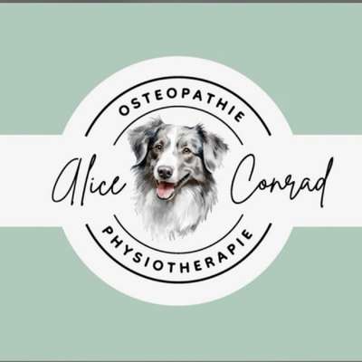 Medizinische Dienstleistungen-Alice Conrad Hundephysiotherapie-Bild
