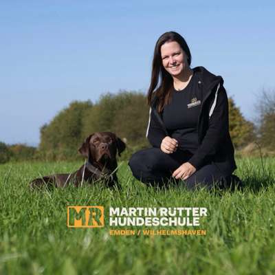 Hundeschulen-Martin Rütter Hundeschule Emden / Wilhelmshaven-Bild