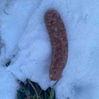 Giftköder-Ausgelegtes Fleisch-Bild