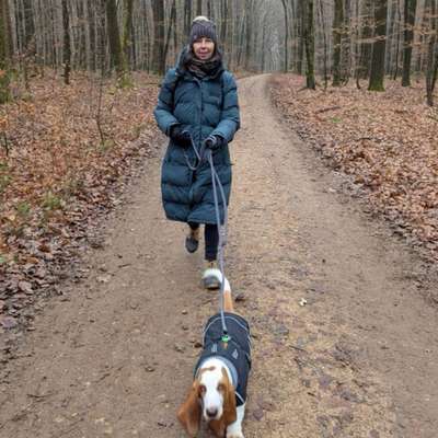 Stefanie's Profilbild