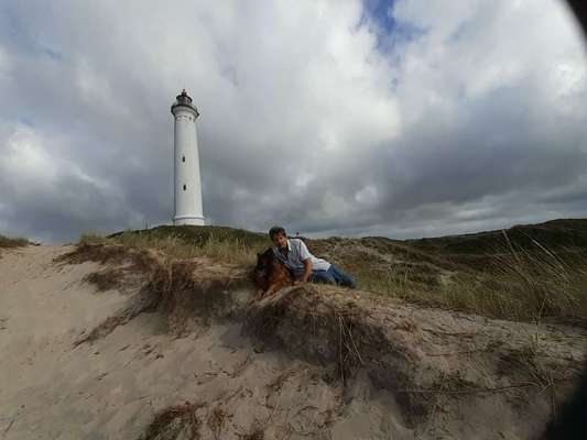 Die Dogorama Wochen Challenge: “Dein Hund im Urlaub”-Beitrag-Bild