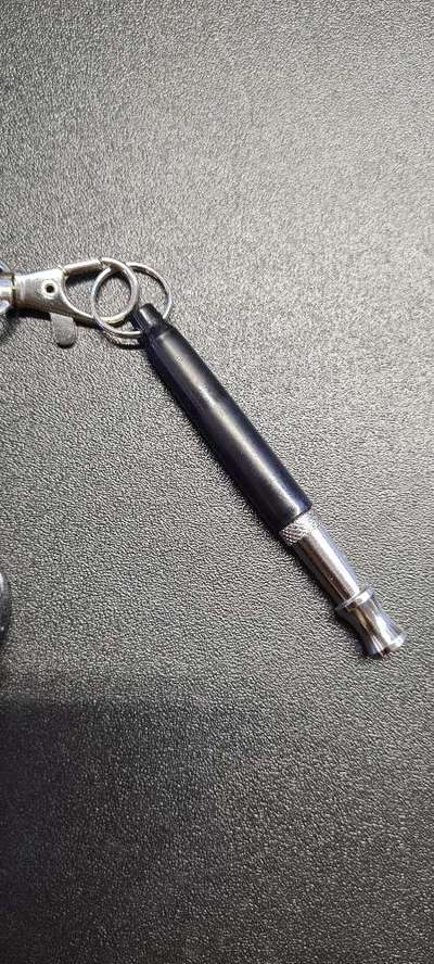 Gebell im Büro und an der Haustür-Beitrag-Bild