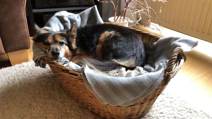 Schlafzeit!💖-Beitrag-Bild