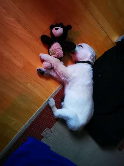 Die unbequemsten und lustigsten Schlafpositionen-Beitrag-Bild