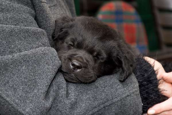 Erstes Bild-Beitrag-Bild