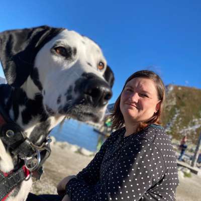 Hundetreffen-Treffen zum Spielen oder Eine Runde laufen-Profilbild