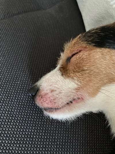 Wund gekratzt-Beitrag-Bild