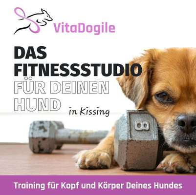 Giftköder-Fitnesstraining für Deinen Hund-Bild