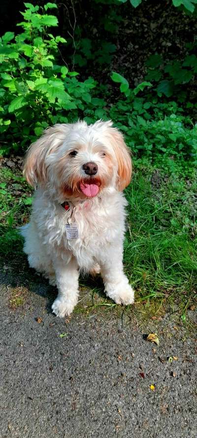 Fotochallange Nr. 57     PORTRÄT.   Beendet!!!!!!!!-Beitrag-Bild