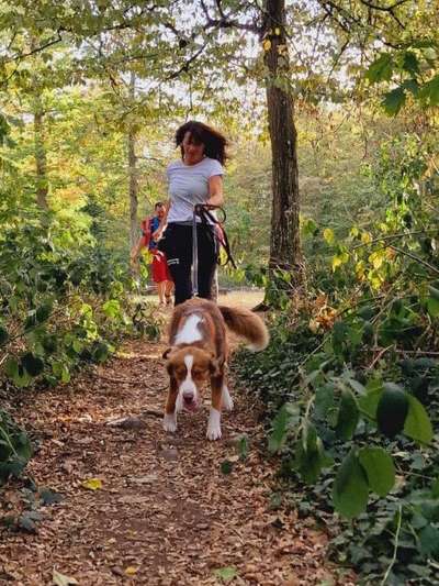 Mantrailing-Beitrag-Bild