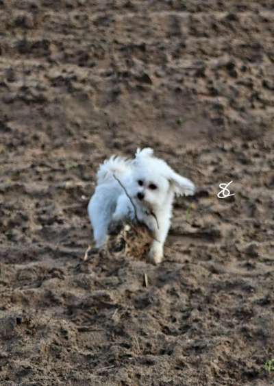 Un...scharf Bilder-Beitrag-Bild