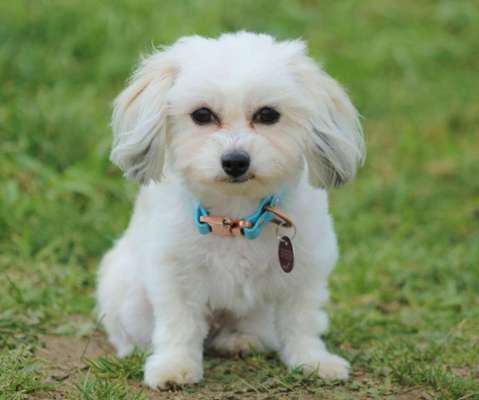 Austausch zur Fotografie-Beitrag-Bild