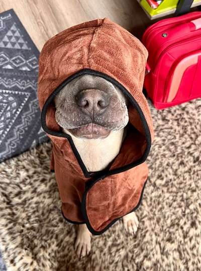 Foto Challenge Nr.133-Beitrag-Bild