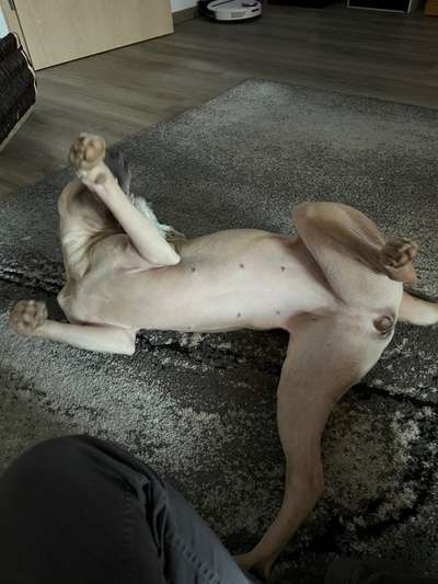 Fotochallenge Nr.65-Beitrag-Bild