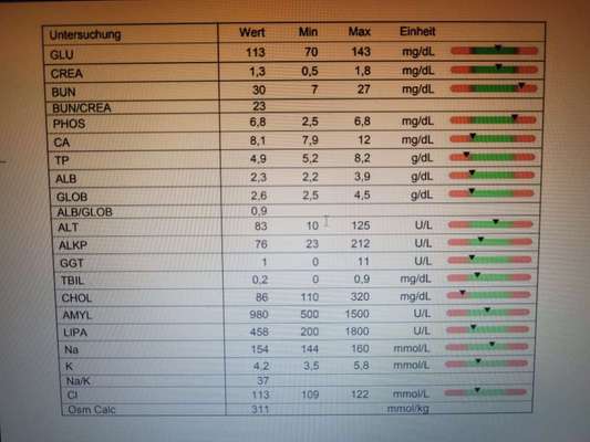 Pankreatitis und verdicke Darmschlingen, aber Medikamente schlagen nicht an-Beitrag-Bild