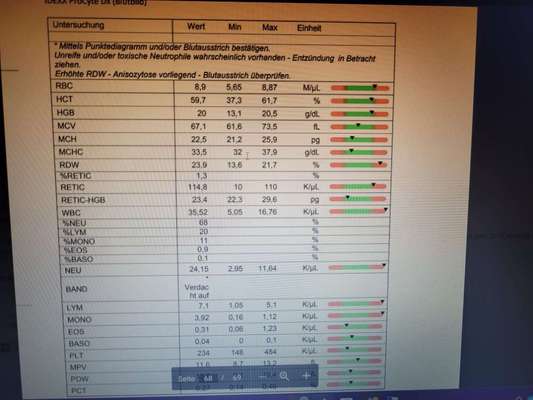 Pankreatitis und verdicke Darmschlingen, aber Medikamente schlagen nicht an-Beitrag-Bild