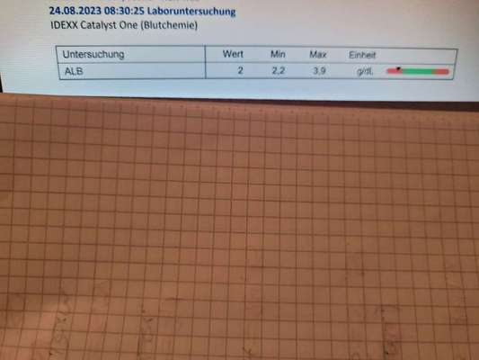 Pankreatitis und verdicke Darmschlingen, aber Medikamente schlagen nicht an-Beitrag-Bild