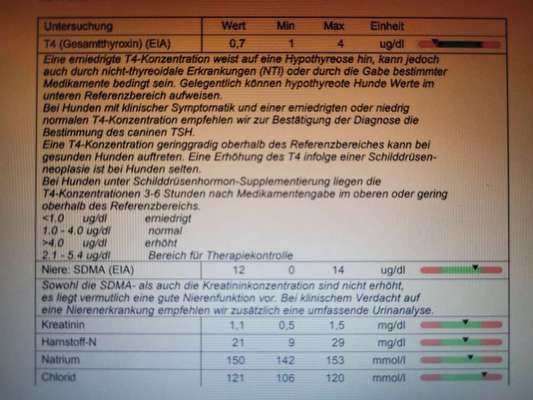 Pankreatitis und verdicke Darmschlingen, aber Medikamente schlagen nicht an-Beitrag-Bild