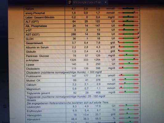 Pankreatitis und verdicke Darmschlingen, aber Medikamente schlagen nicht an-Beitrag-Bild